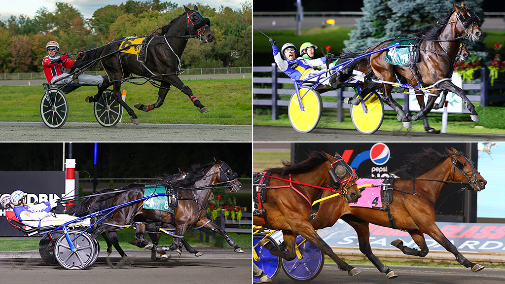 Clockwise from top left: Hugh Huff, Nijinsky, Gaines Hanover, Linedrive Hanover