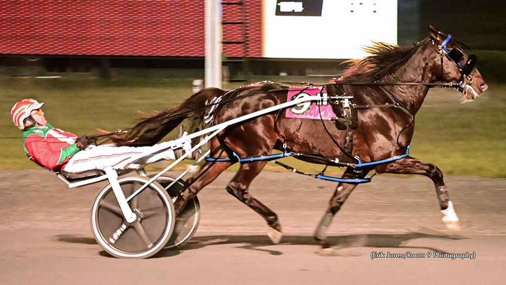 Ammo winning at Rosecroft Raceway