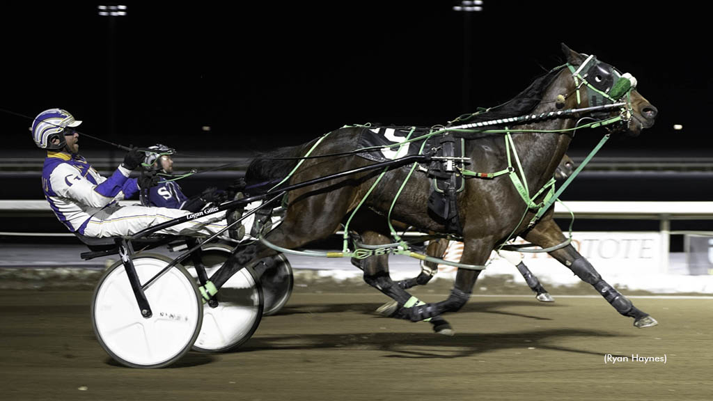 Goodbye Ceia Later winning at Century Mile