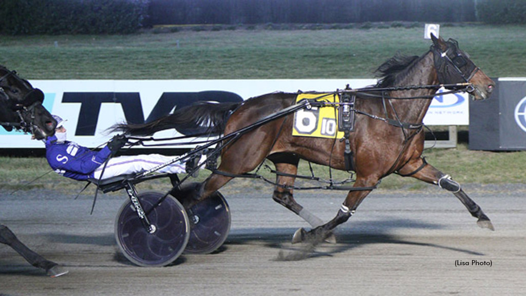 Valar Dohaeris winning at The Meadowlands