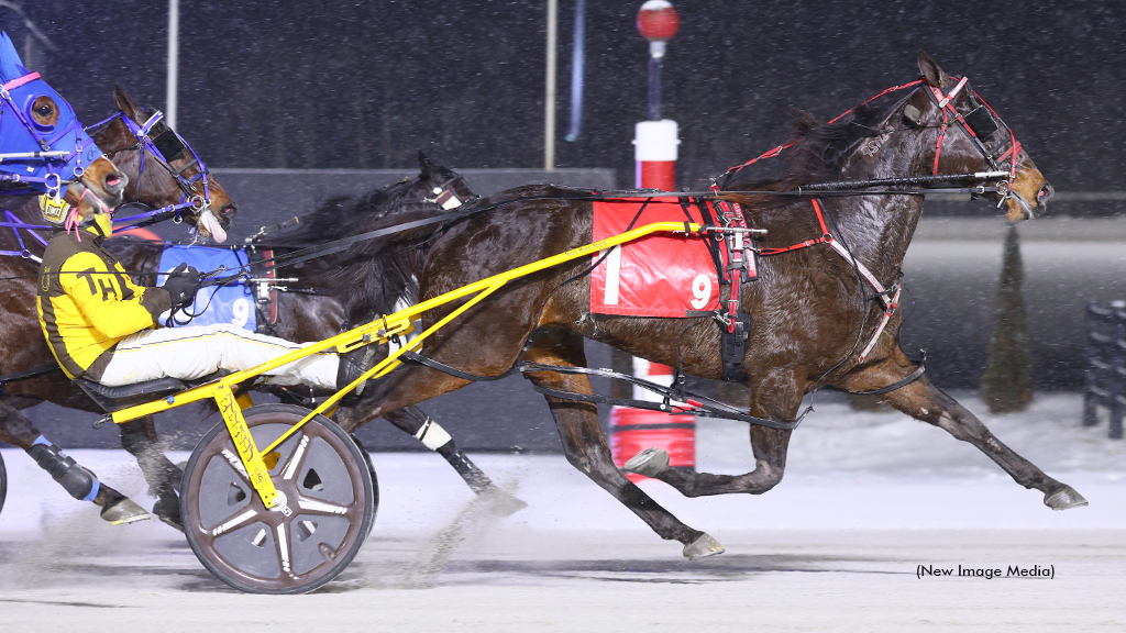 Dabarndawgswatchin winning at Woodbine Mohawk Park