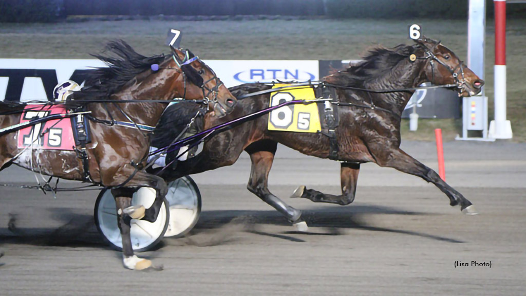 Queen Of America S winning at The Meadowlands