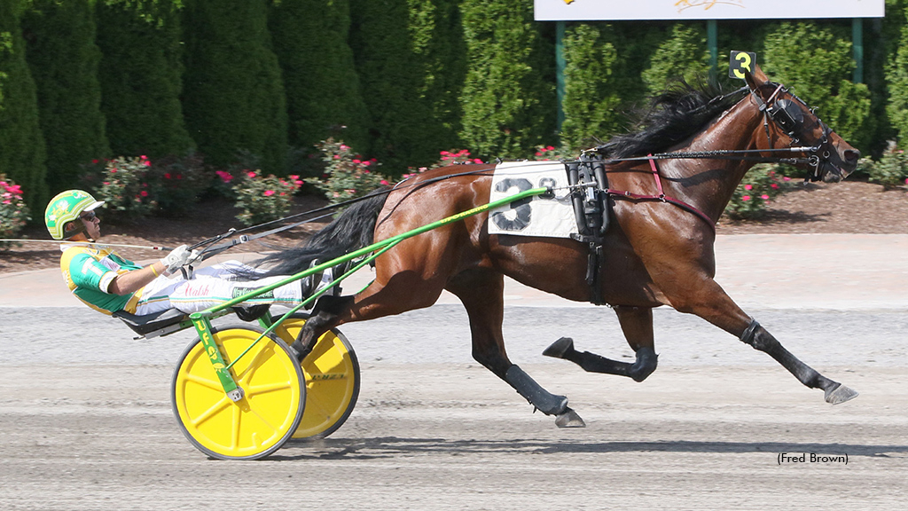 Will Take Charge winning at Tioga Downs