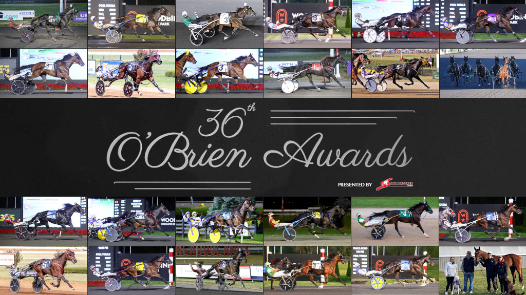 The returning 2024 O'Brien Awards finalists