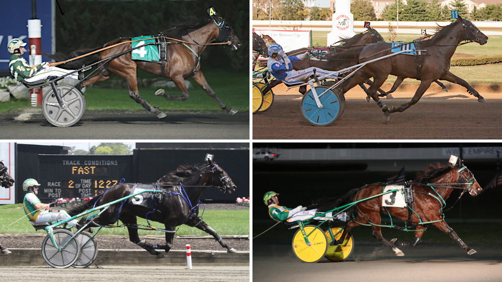 Ariana G, Marion Marauder, Put On A Show, Shartin N