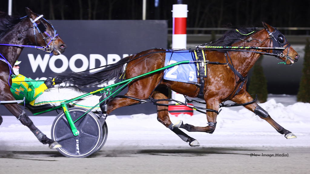 A Class Yankee winning at Woodbine Mohawk Park