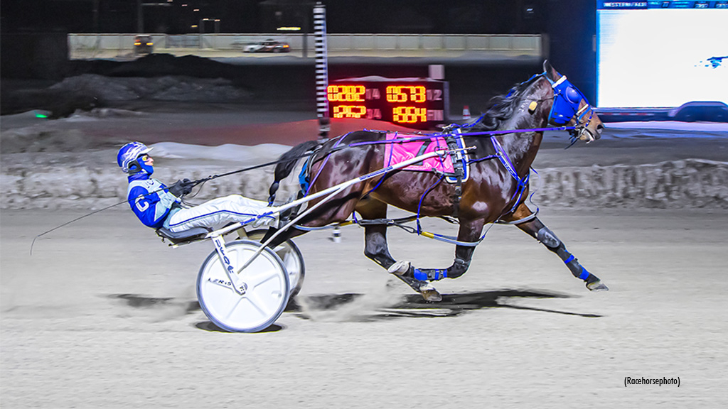 BeeTwoBee-021825-Racehorsephoto-1024px