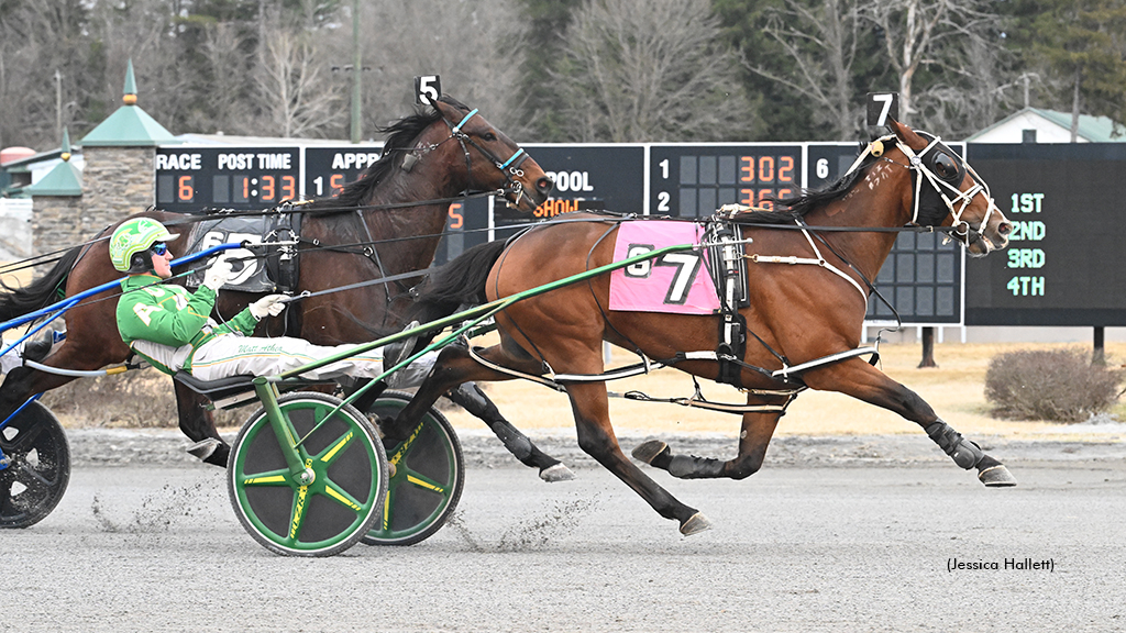 Blazing Home N winning at Saratoga Casino Hotel