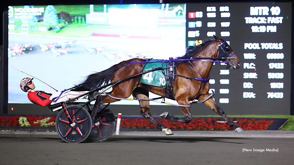 Infield screen at Woodbine Mohawk Park