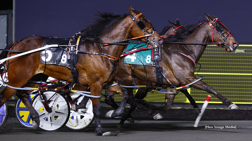 Bettorseetheshow winning at Woodbine Mohawk Park
