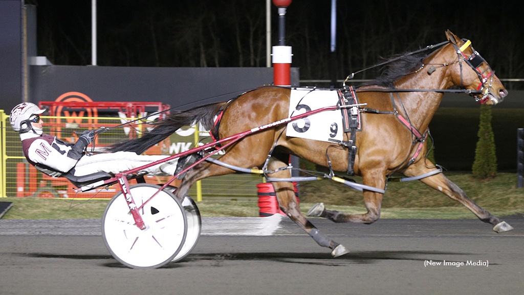 Brue Hanover winning at Woodbine Mohawk Park