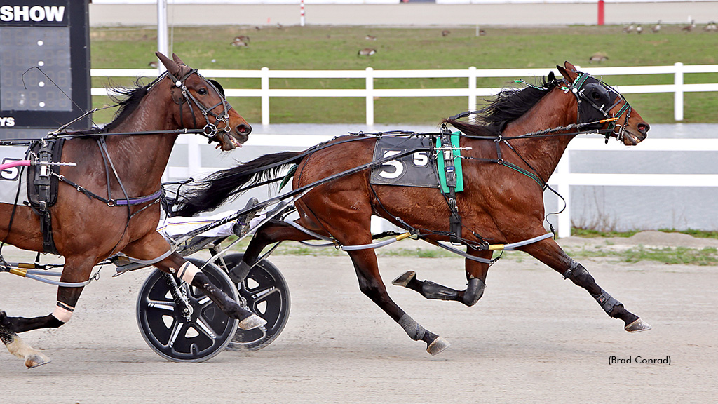 Dan Noble driving Terminator to record his 8,000th career driving win