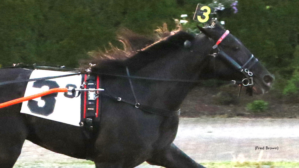 Asteroid winning at Tioga Downs