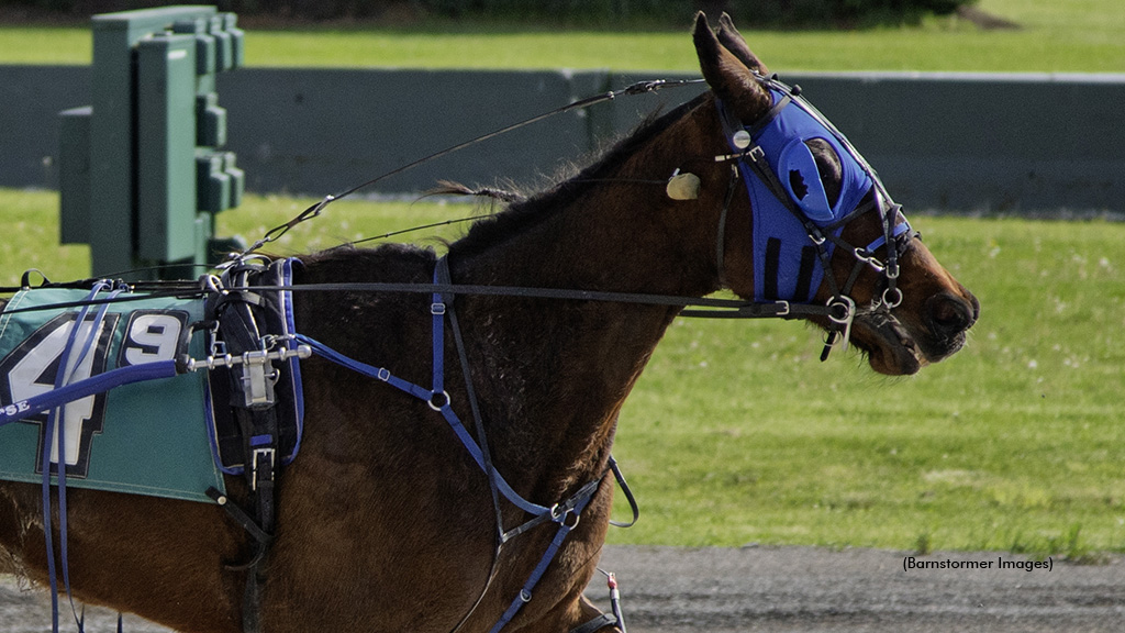 Big Baller Beane winning at Buffalo Raceway
