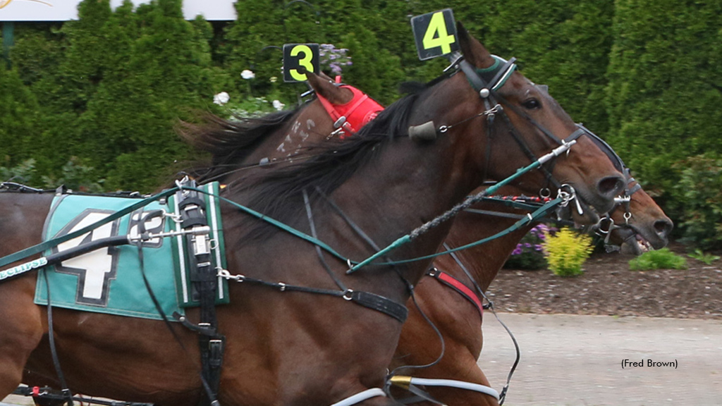 Blank Stare winning at Tioga Downs