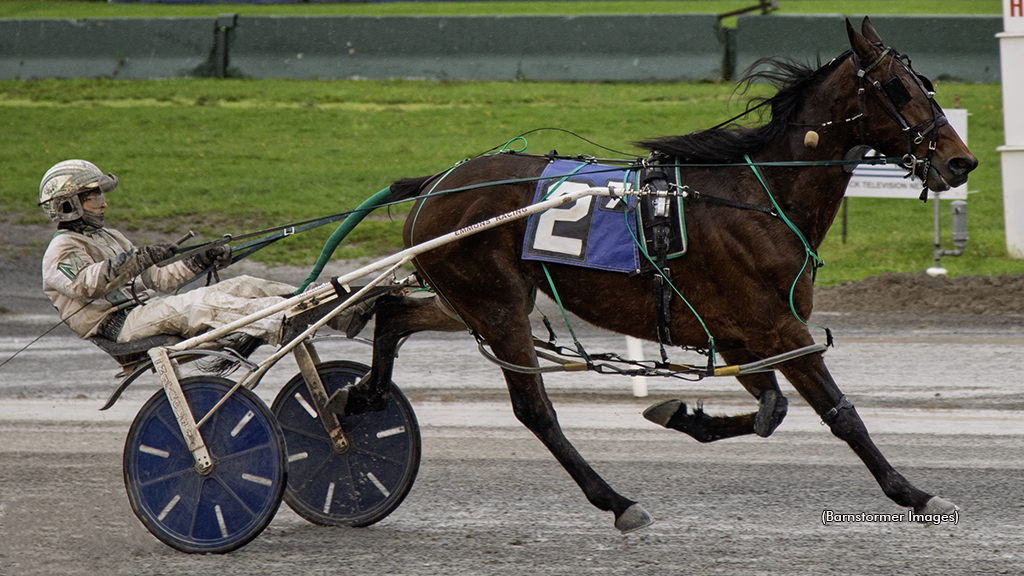 Davey Day Trader winning at Buffalo Raceway