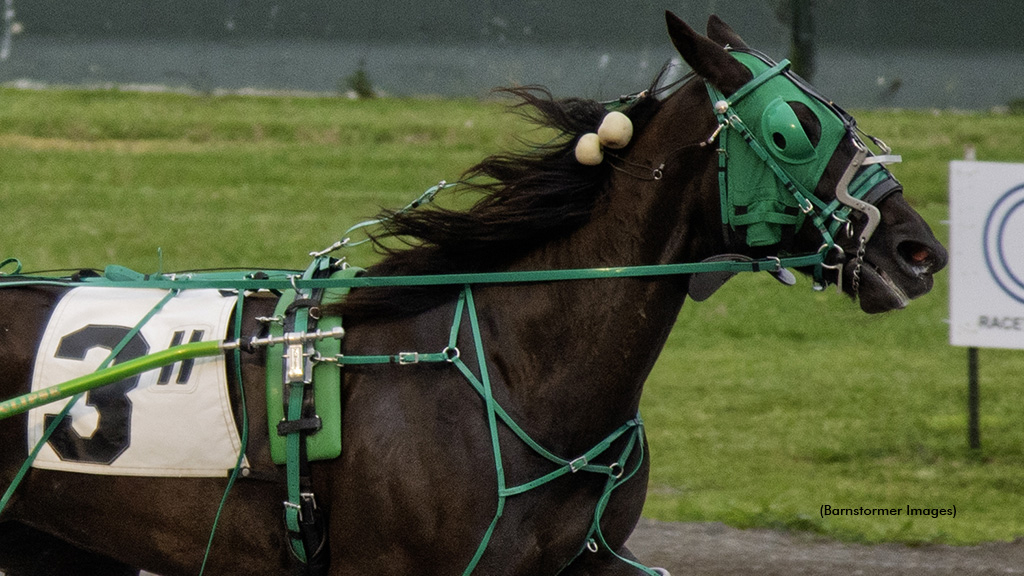 Do Me Better winning at Buffalo Raceway