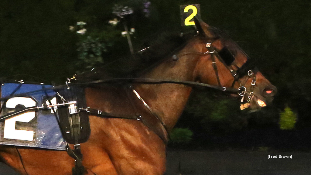 Fashion Terror winning at Tioga Downs