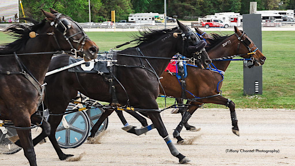 G A Speed Sammy, winning at Hanover