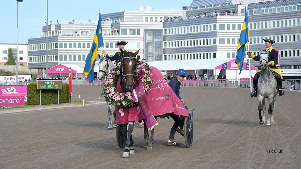 2025 Elitloppet champion Go On Boy