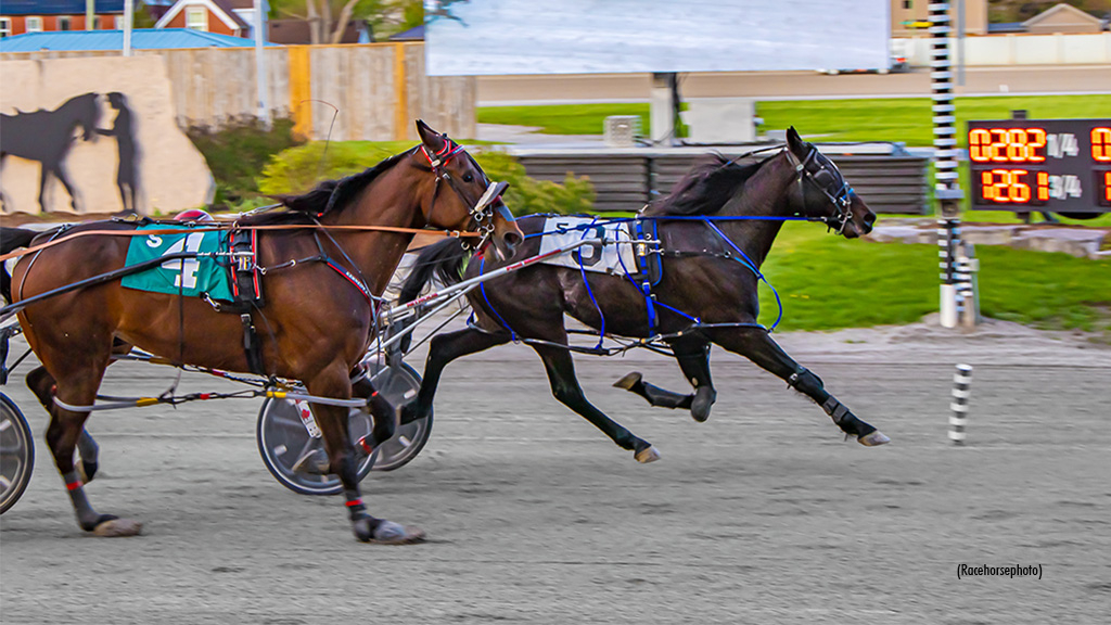 LASunControl-050625-Racehorsephoto-1024px