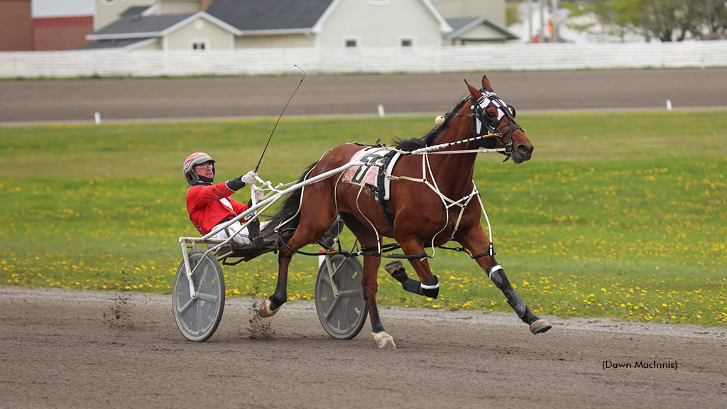 Like A King winning at Summerside Raceway