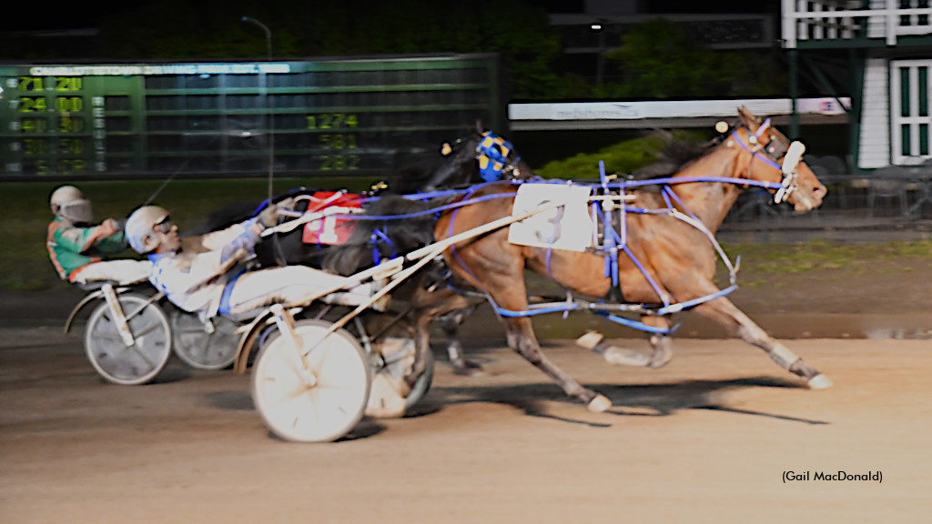 Merigo Magic, winning at Charlottetown