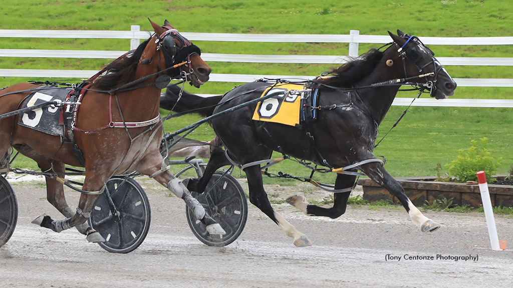 Muskateer Hanover winning at Oak Grove