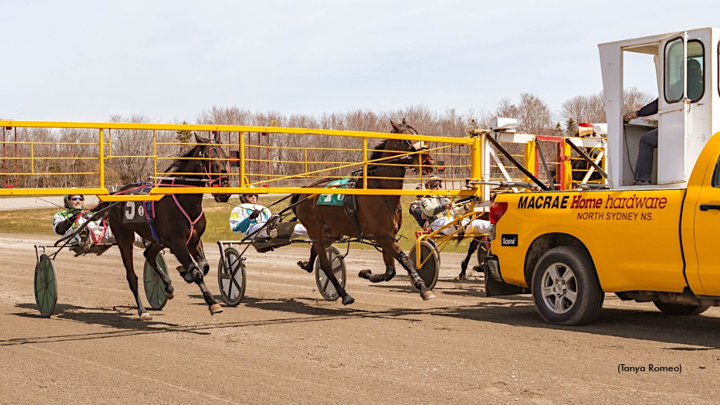 Heading to the gate at Northside Downs