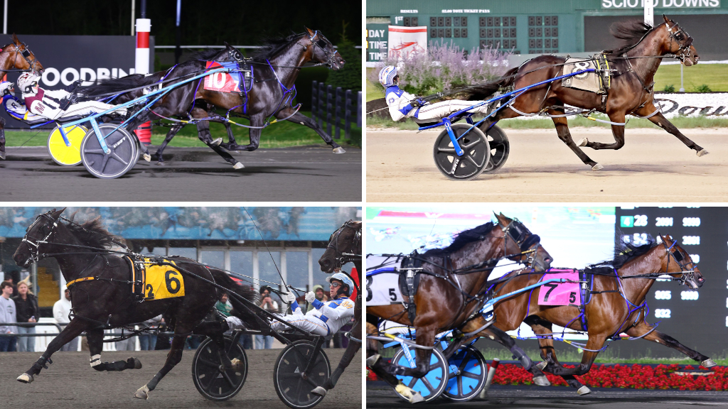 Joel And The Jets, Swingtown, Prince Hal Hanover and Chantilly