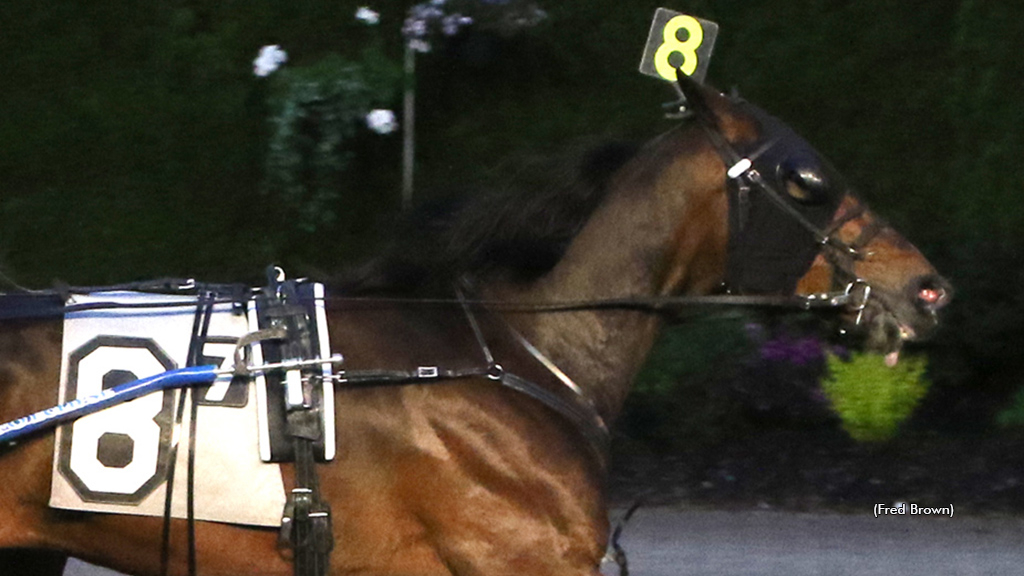 Purple Lord winning at Tioga Downs