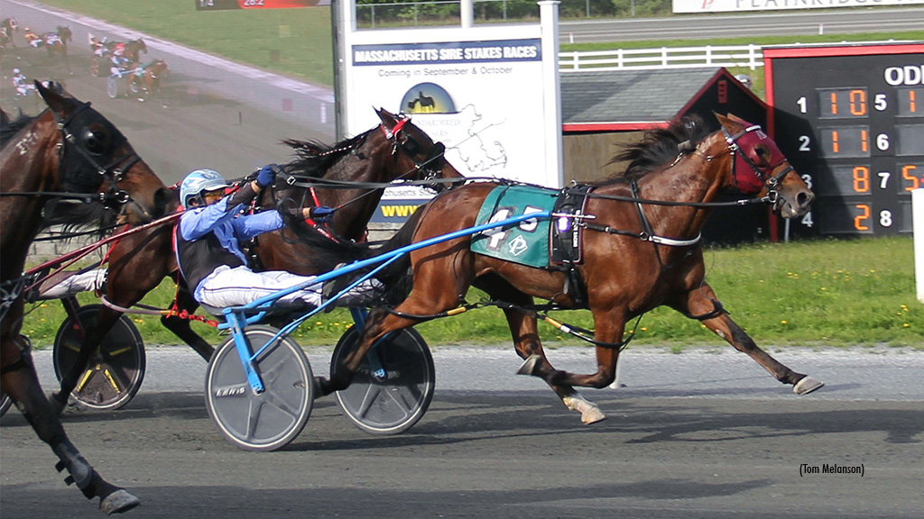 SwedishStarletN-052725-TomMelanson-1024px