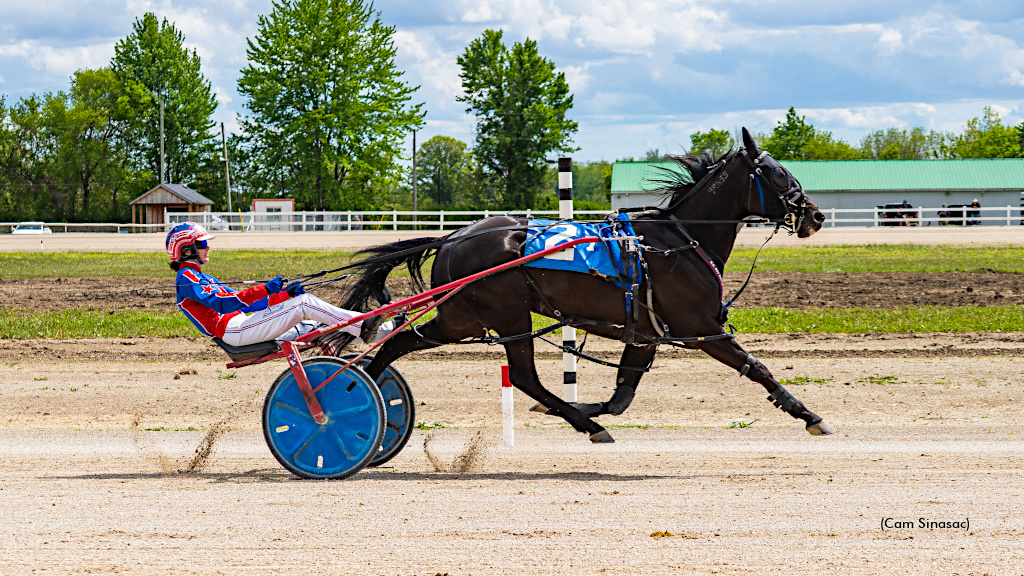 Taylors Credit, winning at Dresden