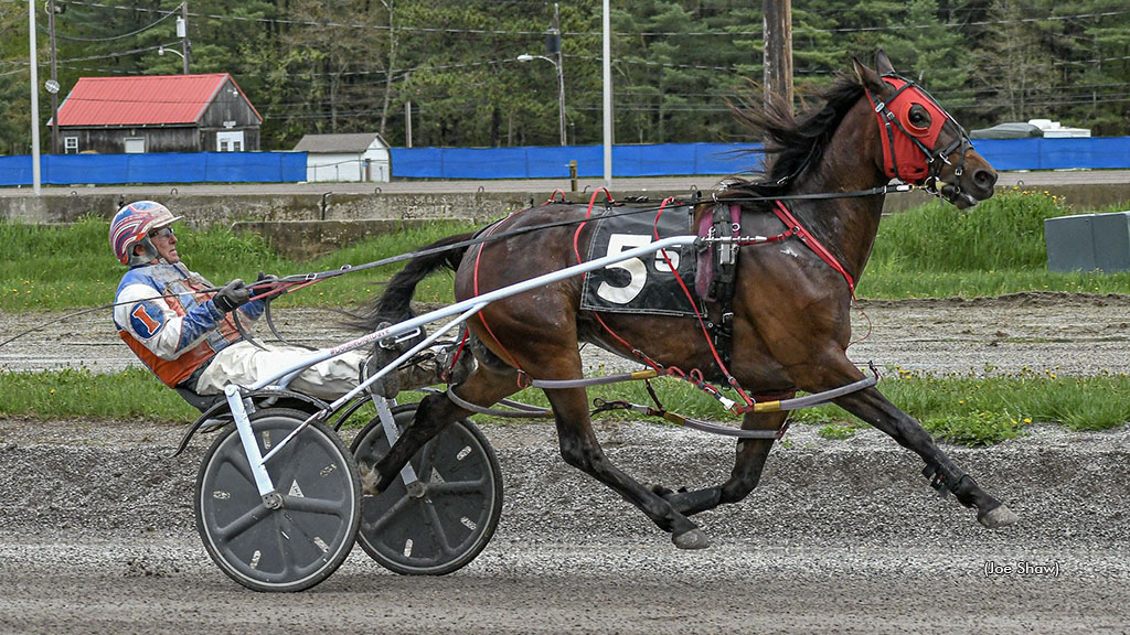 Two Cold Fold winning at First Tracks Cumberland