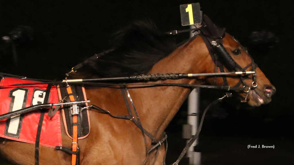 Wheelzablazin winning at Tioga Downs