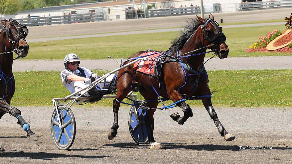Albert Alpha winning at Hippodrome 3R