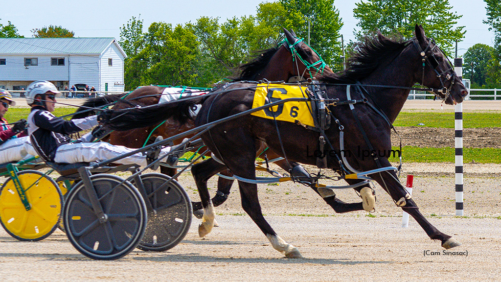 Arundel Hanover winning at Dresden Raceway
