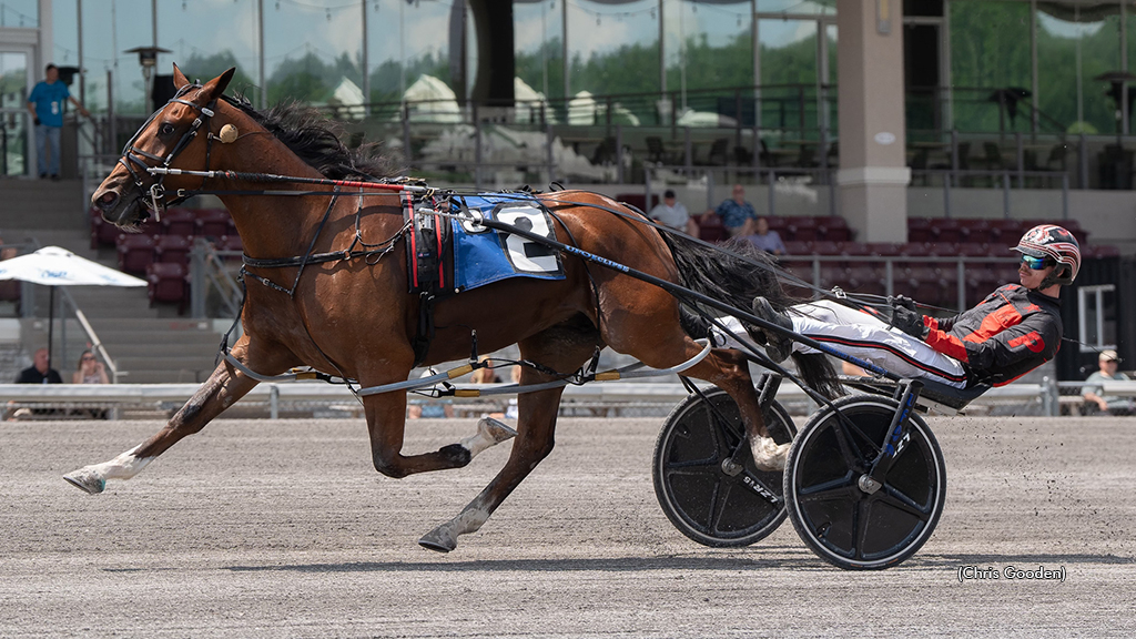 Asphalt winning at The Meadows