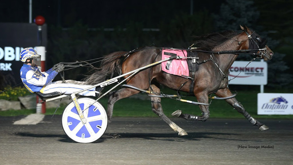 Better Single winning at Woodbine Mohawk Park