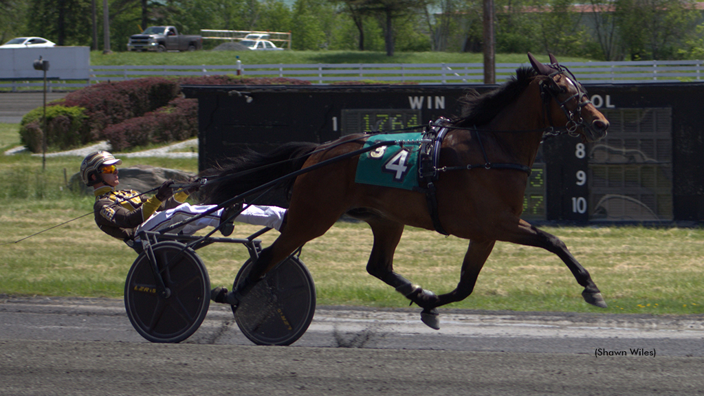 Bjms Lil Man winning at Monticello Raceway