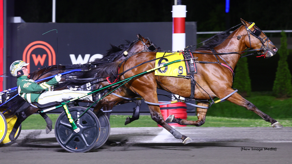 Brue Hanover