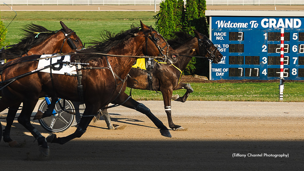 Dahlquist Hanover