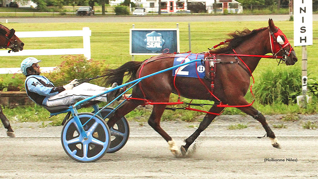 Dawn To Dark winning at Bangor Raceway