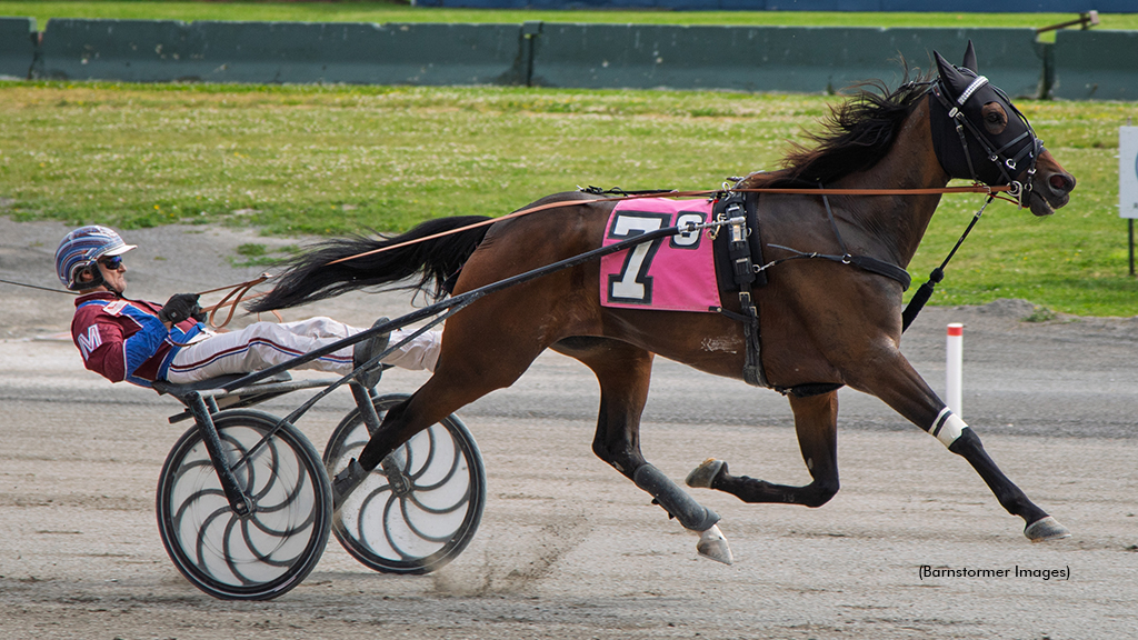 Dealin With Dewey winning at Buffalo Raceway