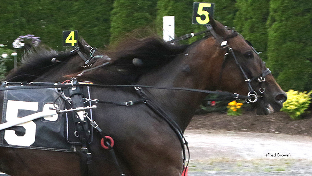 Fox Valley Leah winning at Tioga Downs