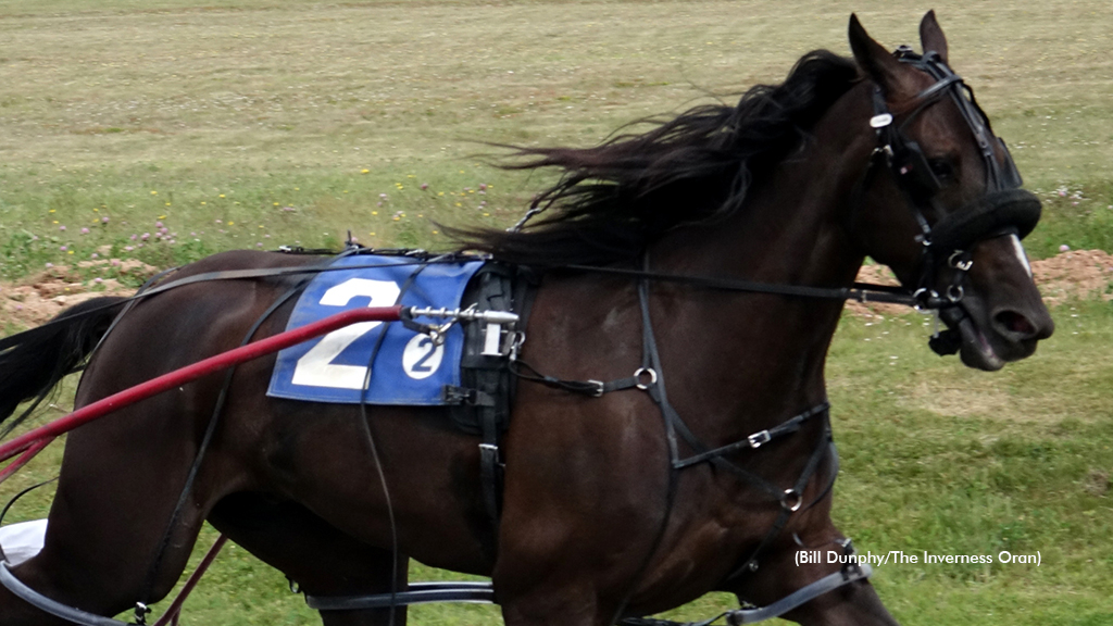 Malevolent winning at Inverness Raceway