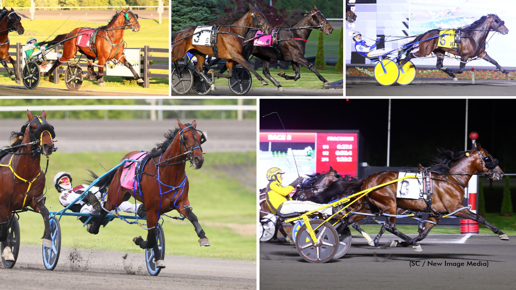 Captain Luke, Private Access, Nijinsky, Bourbon County and Prince Hal Hanover