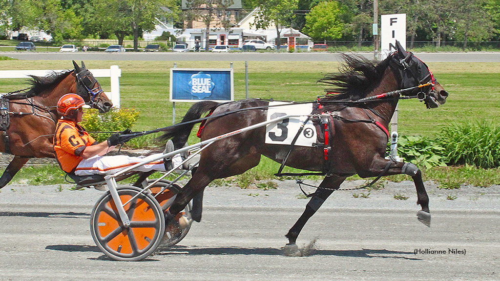 Pandemic Princess winning at Bangor Raceway
