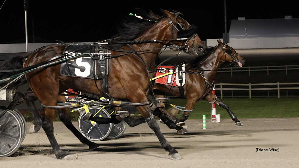 Seaside Star (#1) and Go Jim Dandy (#5) in a dead heat