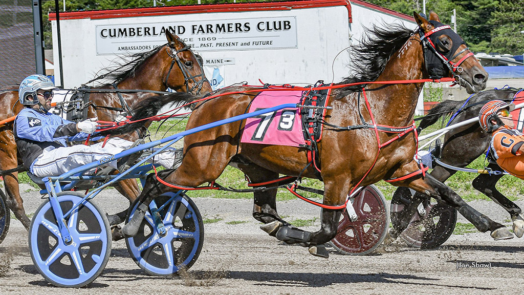Sheriff N winning at First Tracks Cumberland